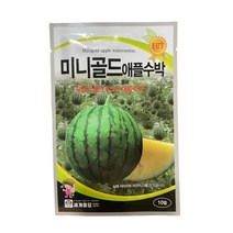 미니골드 애플수박 씨앗 10립 [22년포장] 속이 노란 애플수박 종자