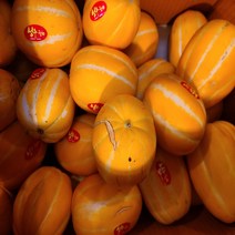 성주참외 제철 달달 못난이참외 2.5kg 5kg, 고당도 가정용, 5kg X 12~16과