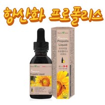 액상프로폴리스 리퀴드 온가족 어린이 키즈 유아 30ml 면역 항산화 영양제 호흡 구강