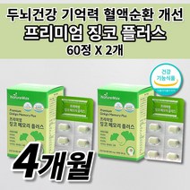 징코 플러스 뇌 두뇌 건강 혈행개선 혈액순환 혈관 확장 에좋은 기억력 기능 개선 질환 부모님 건강 식품 식약처 인증 은행잎추출물 비타민 아연 판토텐산 나이아신 함유 영양제 60정, 2개