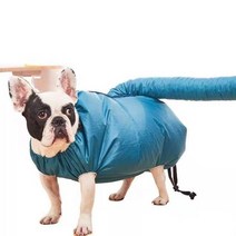 펫드라이룸 강아지 고양이 드라이기 반려동물 반려견 털말리는 기계 애완견 건조기 파우더, 내가 10-20kg