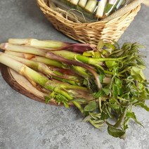 [더조은] 국내산 땅두릅 500g, 없음