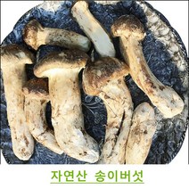 진심좋은 자연산 냉동 송이 버섯 자연 송이버섯, 1box, 3등급 500g