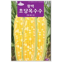 옥수수 황백초당옥수수씨앗 100립 옥수수씨앗, 1개
