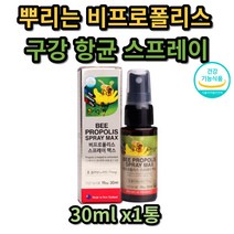 비 플로폴리스 스프레이 계절 변화 환절기 1개월분 PROPOLISSPRAY 구강 향균 어린이 청소년 성인 중년 노인 부모님 직장인 비프로폴리스 플라보노이드