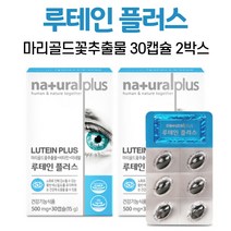 루테인 눈영양제 lutein 마리골드꽃 추출물 아연 비타민 미네랄 함유, 2박스, 30캡슐