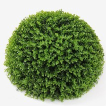 카페 실내조경용 잔디볼 아파트실내조경 플랜테리어