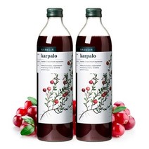 핀란디아 핀란드산 카스케인 크랜베리 원액 주스 500ml 2병
