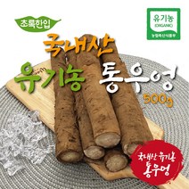 [초록한입] 유기농 우엉 200g