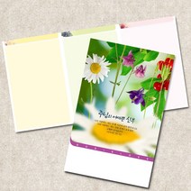 주보용지 3단 주보 교회 예배 주보인쇄 기성 디자인 칼라 청년부 주보 제작 기독교용품, EW-50