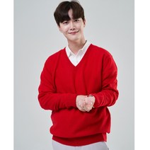 앱섹 EVSEG 100%캐시미어 브이넥 남성니트 1315-085