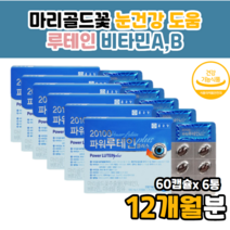 금잔화 마리골드 메리골드 꽃 멀티 루테인 비타민 셀렌 70대 80대 남성