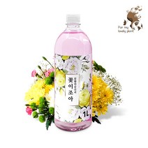 꽃이조아 식물 비타민 생리활성제 분주형 선명 활력