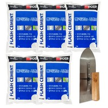 베이루 빨리굳는시멘트 백색 1kg 5개+흙손세트 시멘트 금간곳보수 계단보수 초속경 미장, 빨리굳는시멘트 백색 1kg 5개+흙손