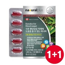 내츄럴플러스 바나바잎 추출물 혈당 상승 억제 도움 60정 2박스 4개월분