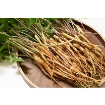 _ 김숙현 농부의 유황 새싹삼 100뿌리 대