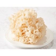 최고급생꽃송이버섯, 고급보자기, 1kg, 1개