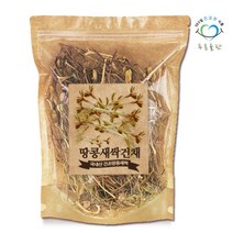 푸른들판 국내산 땅콩새싹 새싹땅콩 건채 수경재배 땅콩어린싹 땅콩싹, 100g, 1개