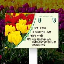 끌림광고 수목표찰 나무이름표 고정형 풀밭 꽃이형180*120 그린 라운드디자인