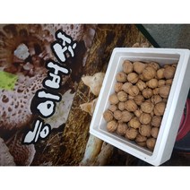호두 햇호두 (국내산 토종호두)1kg, 1