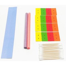 유전정보 구조 모형만들기 생명과학 DNA만들기키트 방과후 과학 교구 돌봄