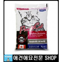 반려동물용품 캣모래 새끼고양이배변 고양이화장실만들기 캣화장실 고양이용품샵 고양이모래종류