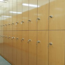 락카 락커 라카 옷장 사물함 케비넷 가방수납 라커룸 관물대 회사 병원 사무실 직원, 구매전상담필수 010-6878-1290, 11 노랑 연두 바둑이, 단추손잡이