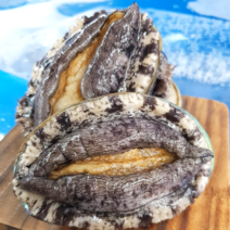 완도활전복 사이즈모음전 산소팩[평일4시주문 배송], [ F ]  16-18미 1kg