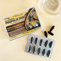 네이쳐스그린웨이 프로폴리스 5000mg 120캡슐, 1개