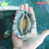 두팜 살아가는 완도 대 전복 1kg 꼬마전복 1kg, 손질 [대]전복 11~13미1kg