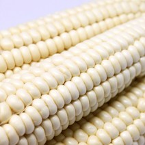 괴산 대학 냉동 찰옥수수 12개, 미백 찰옥수수(냉동) - 12개(3개입 4팩)