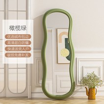 대형 전신거울 살롱 베네치아거울 옷가게 대형 슬림 이쁜거울 개업선물거울, 아니오, 160x60올리브