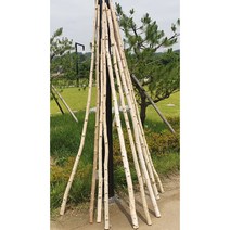 자작나무일자 바용기둥 행인플랜트 가랜드만들기 꽃걸이, 4cm이상~5cm 미만