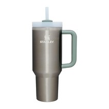 Stanley Quencher H2.0 FlowState 스테인리스 스틸 진공 단열 텀블러 뚜껑 및 빨대 포함 물 아이스 티 또는 커피 스무디 등용 안개 1.2L(40온, 20 oz, Tigerlily