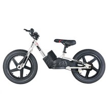 가성비 전기 자전거 배달용 전동 바이크 접이식 미니벨로 산악 트렉 세발 배달 샤오미 삼륜 mtb 새로운 12 인치 16 인치 어린이용 균형 휴대용 111, 하얀색