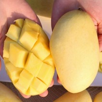태국 남독마이 망고 골드망고 5kg 선물 세트 보자기포함 (항공), 상세페이지 참조, 상세페이지 참조, 상세페이지 참조