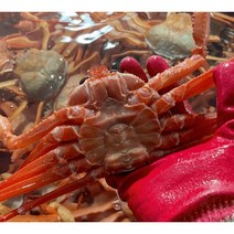 [산지직송]울진 자연산 수율보장 80% 수율 구룡포 홍게 홍개 홍게찜 홍개찜 주문진 후포항 동해 강릉 대게찜 대개찜 포항대게 포항대개 제이블릭 제철홍게 울진 후포리 죽도시장 택배, 수율 80% 이상(6KG)