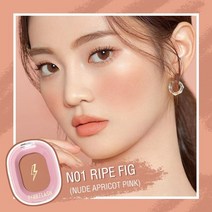 촉촉한 커버 커버력좋은 파운데이션 광채 스틱 물광 하이라이터 건성 복합성 매트 쿠션 컨실러 프라이머 블러셔 9색 파우더 내츄럴 치크 메이크업 피치 싱글 포 페이스 워터프루프, 협력사, n01