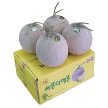 나주 세론이메론 5kg4개입 당도13브릭스 고당도, 1상자