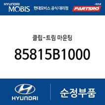 클립트림 마운팅 (85815B1000), 1개
