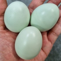 [친환경달걀30구] [특란] 알부자집 친환경 무항생제 계란 특란 150구(30구X5판)