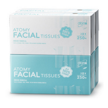 애터미 미용티슈 250매 4개입, 2개, 2세트