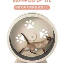 고양이 러닝 슬리밍 롤러 장난감 러닝머신 휠, 상세이페이지 참고, 상세이페이지 참고, 원목모형 미디엄 [SF Express]