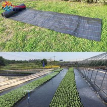 Tewango 정원 야드 지상 천 커버 풍경 헤비 듀티 잡초 장벽 블록 온실 플라스틱 뿌리 덮개 사용자 정의 크기, 1x10m, 02 1x10m