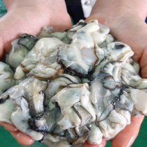 통영 햇굴 최상급 세척 알굴 (중/대 사이즈) 1kg 2kg, 1봉, 중굴1kg