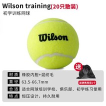 윌슨테니스공 챔피언쉽 그립 스타터 윌슨 STANDARD 테니스볼 듀티 볼 공 테니스공, 03