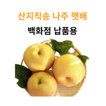참과일 유명산지 나주 신고배(가정용), 1박스, 00. 3kg 나주햇배 (가정용)