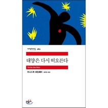 태양은 다시 떠오른다, 어니스트 헤밍웨이 저/김욱동 역, 민음사