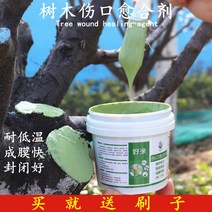 톱신페스트 식물 나무 상처 치료제 보호제 유합제, 힐링 에이전트 500g 그린 (프리 브러쉬)
