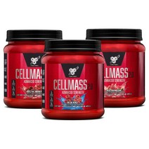 셀메스 노익스 신타6 크레아틴 글루타민 495g, Arctic Berry